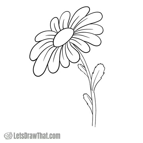 daisy drawing images|daisy outline drawing.